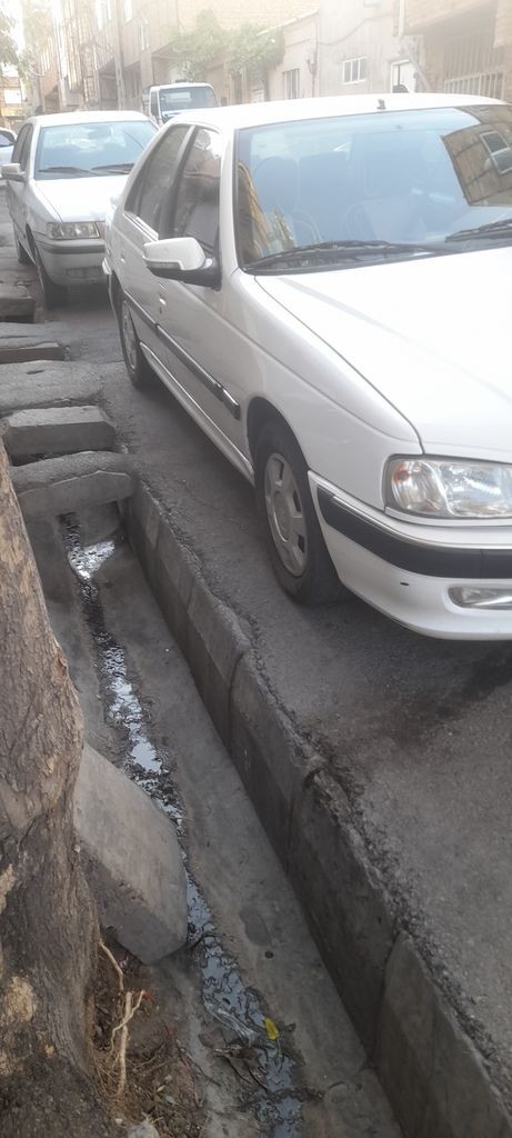 پارس سال طبق برگه کارشناسی1400 - تصویر 1