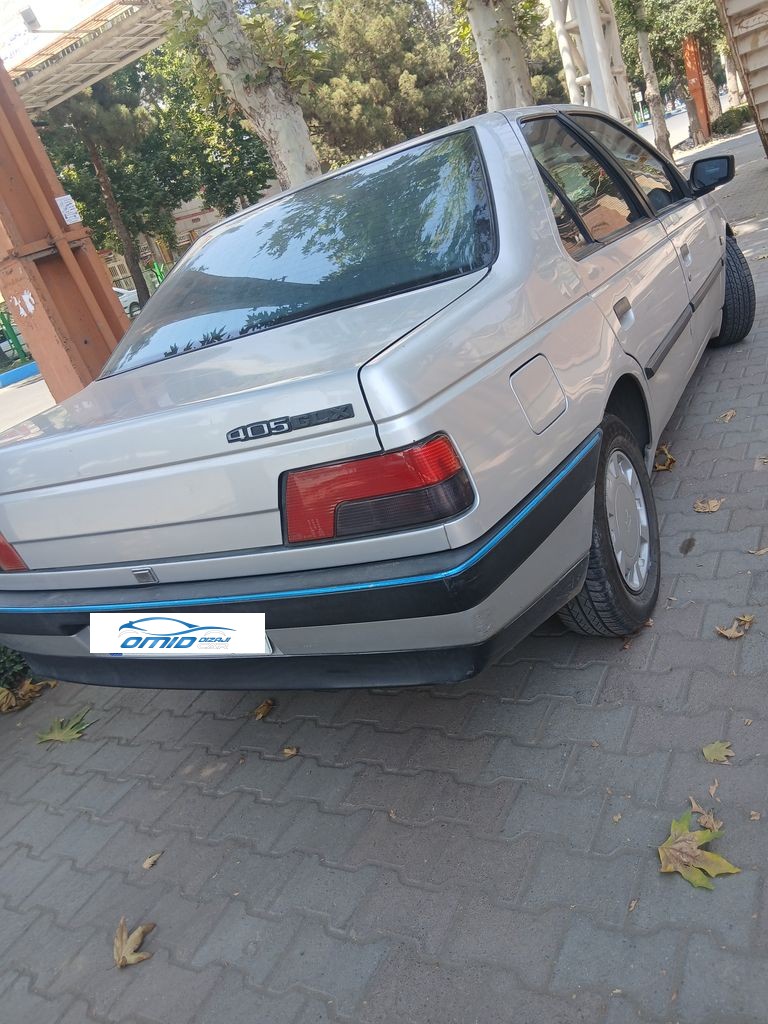 پژو 405 دوگانه کارخانه - تصویر 1