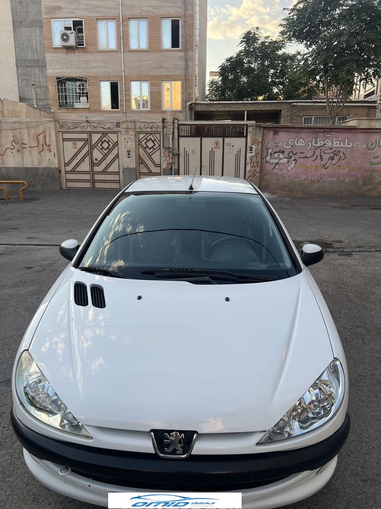 ۲۰۶اس دی تیوفایو 93بدون رنگ - تصویر 1