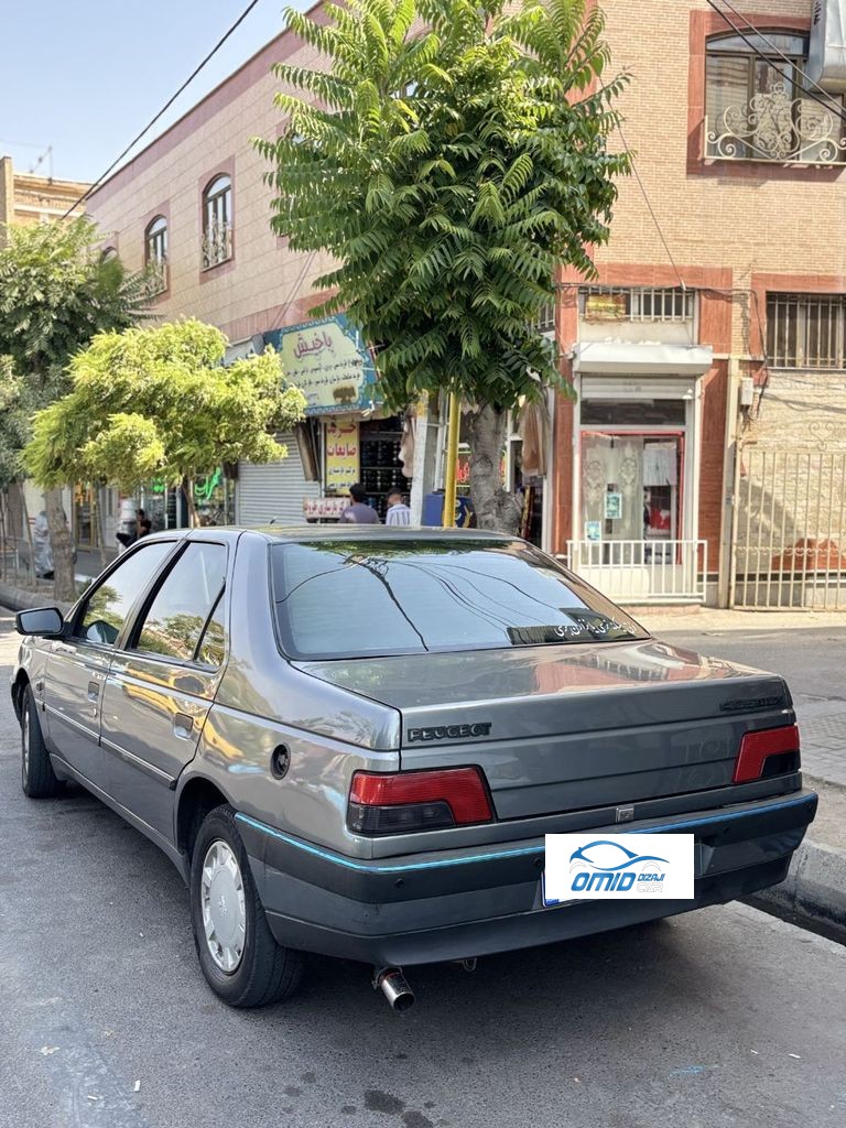 پژو ۴۰۵ دوگانه کارخانه91 - تصویر 1